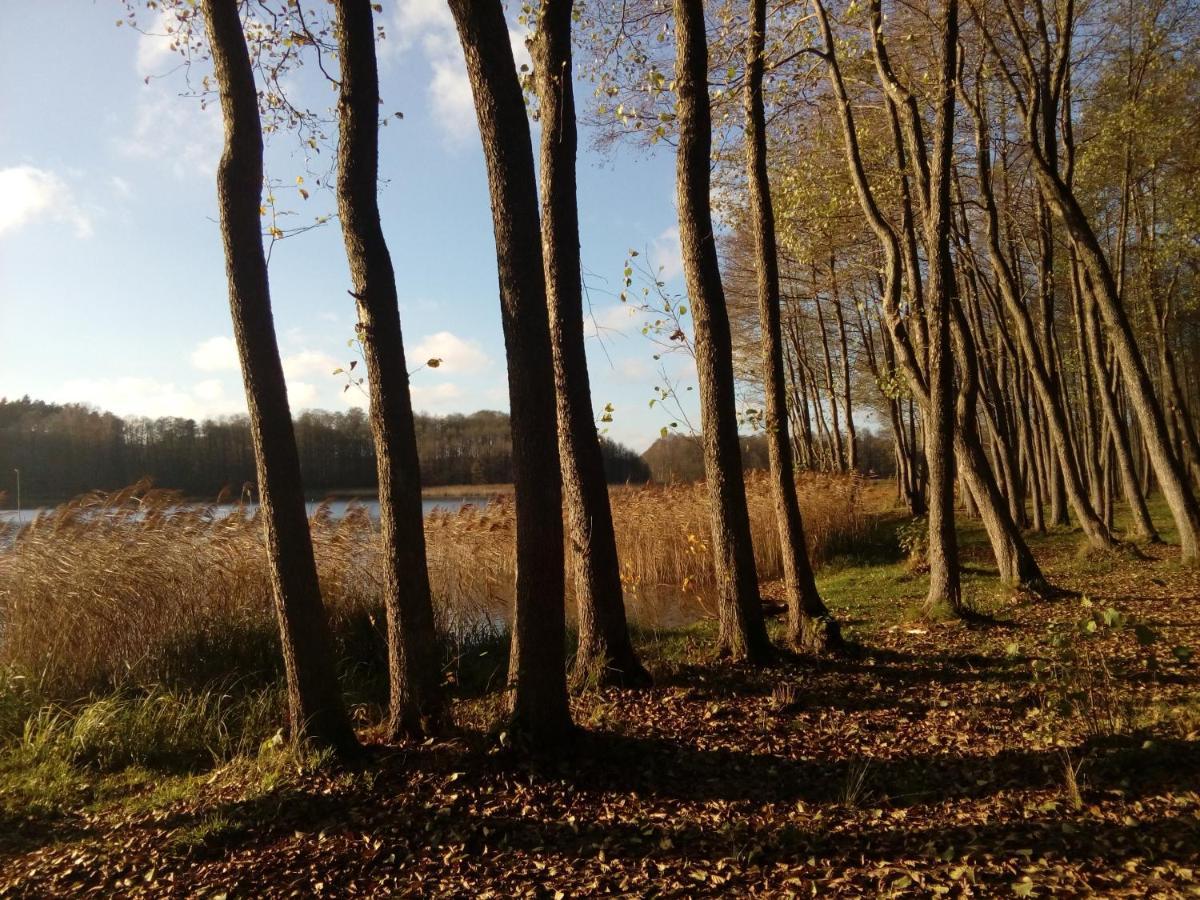 Domki Wczasowe Mazury - Ferienhaus Masuren - Do 12 Osob - Idealny Dla Grup Dluzek Buitenkant foto